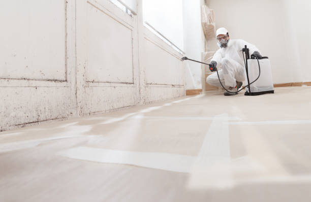 24/7 Emergency Attic Mold Removal experts in Frankfort, KY